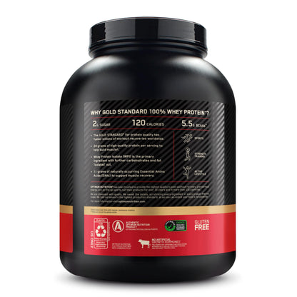 Optimum Nutrition Gold Standard Whey Protein, Double Rich Chocolate, 2 LB