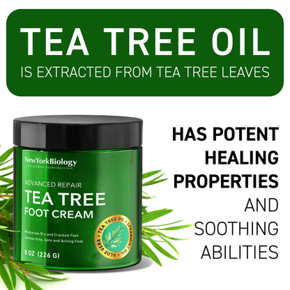 New York Biology Tea Tree Oil Foot Cream for Dry Cracked Feet, Athletes Foot, Nail Fungus