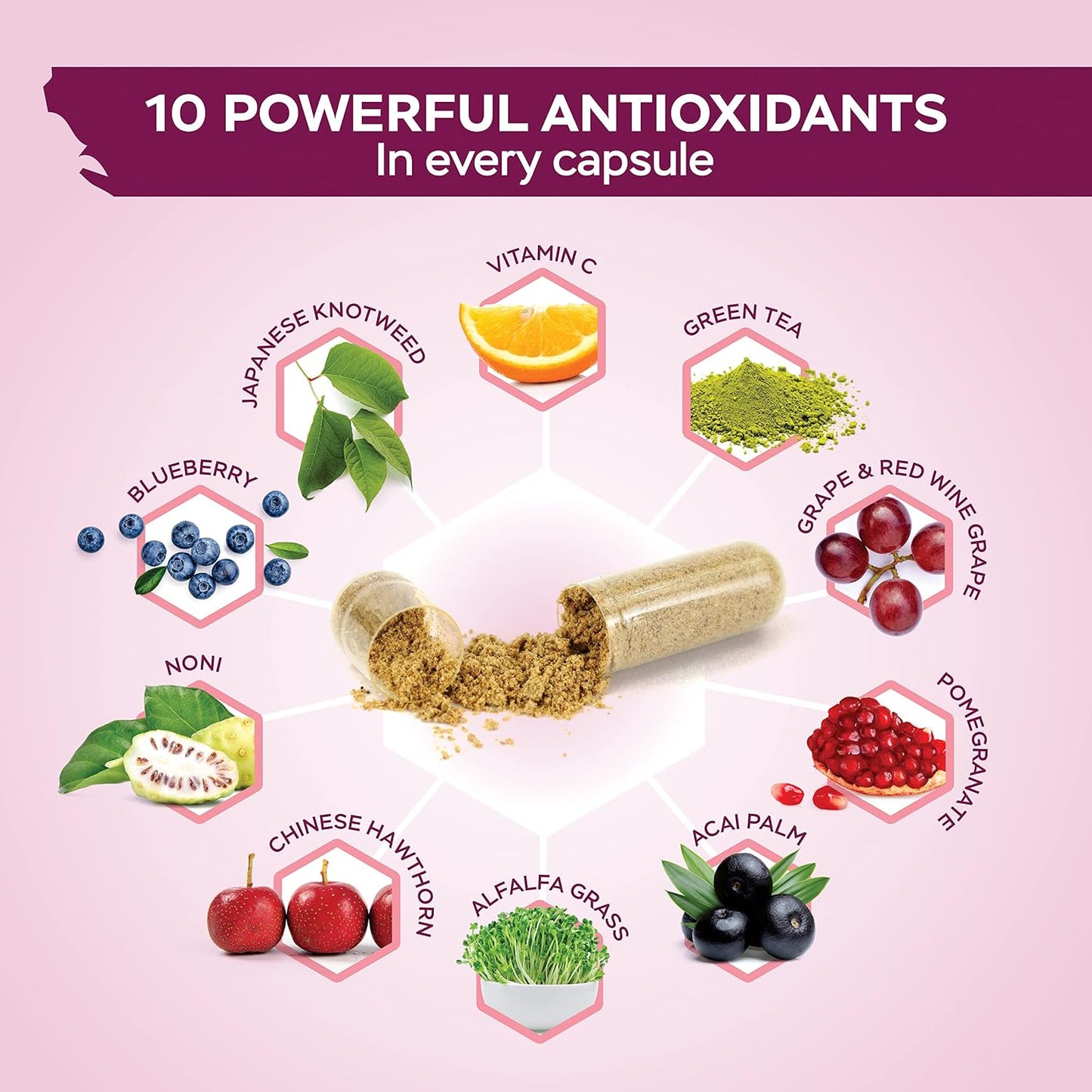 Resveratrol Supplement 1450mg, Extra Strength Trans Resveratrol Complex | Potent Antioxidant Support for Healthy Aging & Cellular Health with Polyphenol Blend, Vegan, 180 Capsules (3 Month Supply)