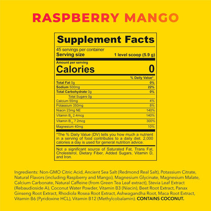 Redmond Re-Lyte Energy Electrolyte Mix, Raspberry Mango, 8.6oz Jar