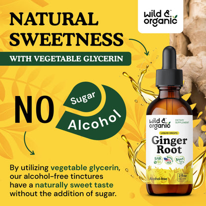 Wild & Organic Ginger Root Extract Drops - Immune & Digestive Support - Liquid Ginger Supplements - Easy to Add to Tea - Vegan, Sugar & Alcohol-Free Tincture - 4 fl oz