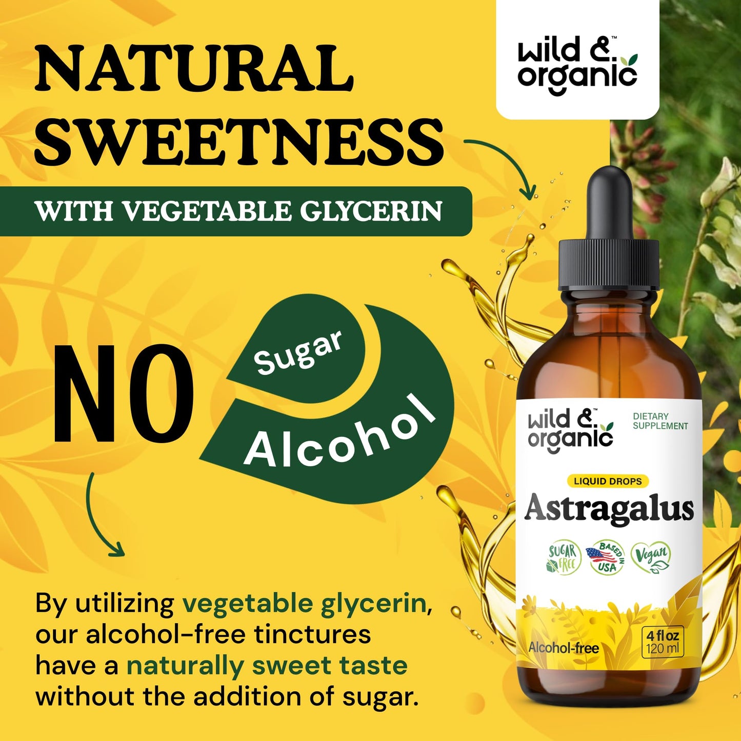 Wild & Organic Astragalus Root Extract Drops - Immune Support - Liquid Astragalus Supplement - Add to Tea & Mix with Powder - Membranaceus Herb - Vegan, Sugar & Alcohol-Free Tincture - 4 fl oz