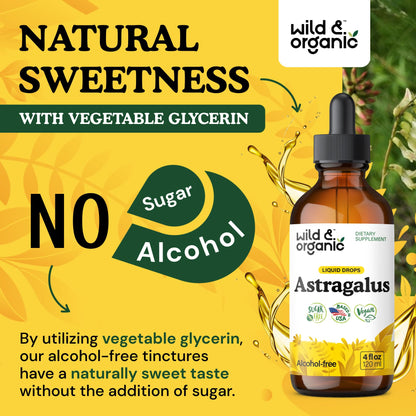 Wild & Organic Astragalus Root Extract Drops - Immune Support - Liquid Astragalus Supplement - Add to Tea & Mix with Powder - Membranaceus Herb - Vegan, Sugar & Alcohol-Free Tincture - 4 fl oz