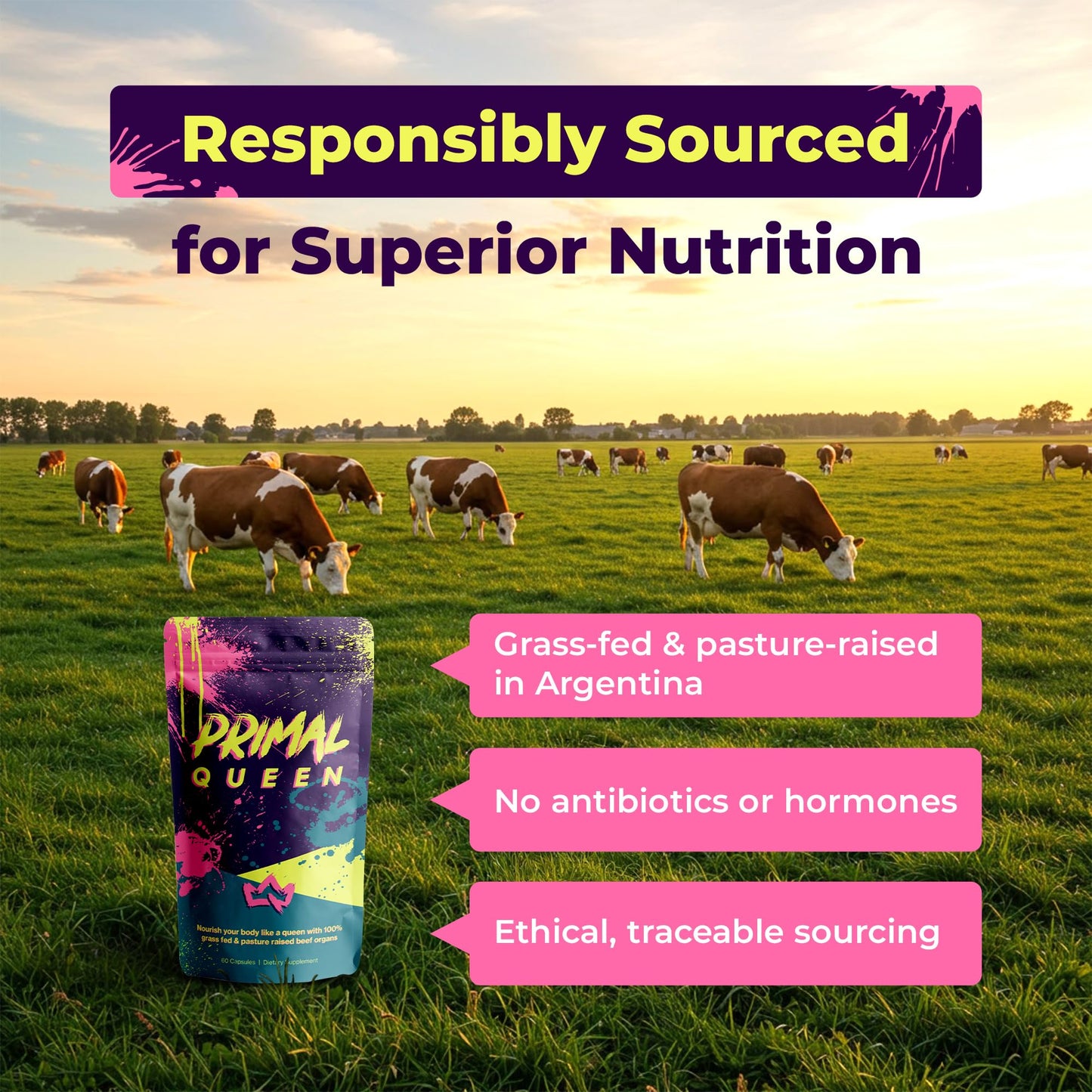 Primal Queen Beef Organ Superfood, Grass-Fed Liver Kidney Heart for Women | Female-Optimized Blend of 6 Pasture-Raised Organs for Hormone Balance, Energy and Vitality; 3rd-Party Tested