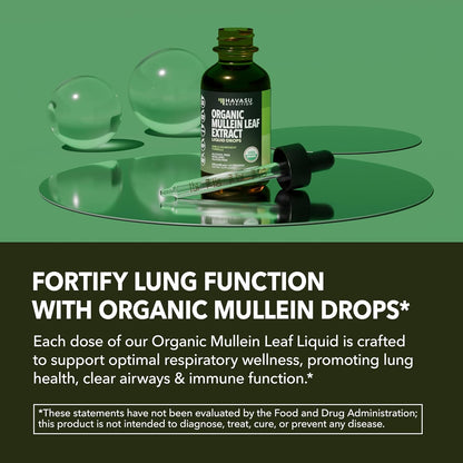 Mullein Drops for Lungs, USDA Organic Mullein Leaf Extract, 2 Fl Oz | Respiratory Health and Lung Support Supplement, 2 Fl Oz, Vegan, Non-GMO, and Alcohol Free, Herbal Tincture, 60 Servings