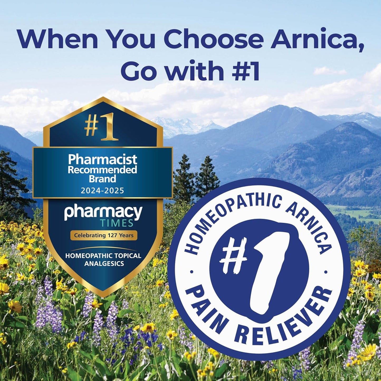 Boiron Arnicare Gel 4.2 oz (Twin Pack) for Joint Pain Relief, Muscle Pain, Muscle Soreness, and Swelling from Bruises or Injury - Non-Greasy and Fragrance-Free Arnica