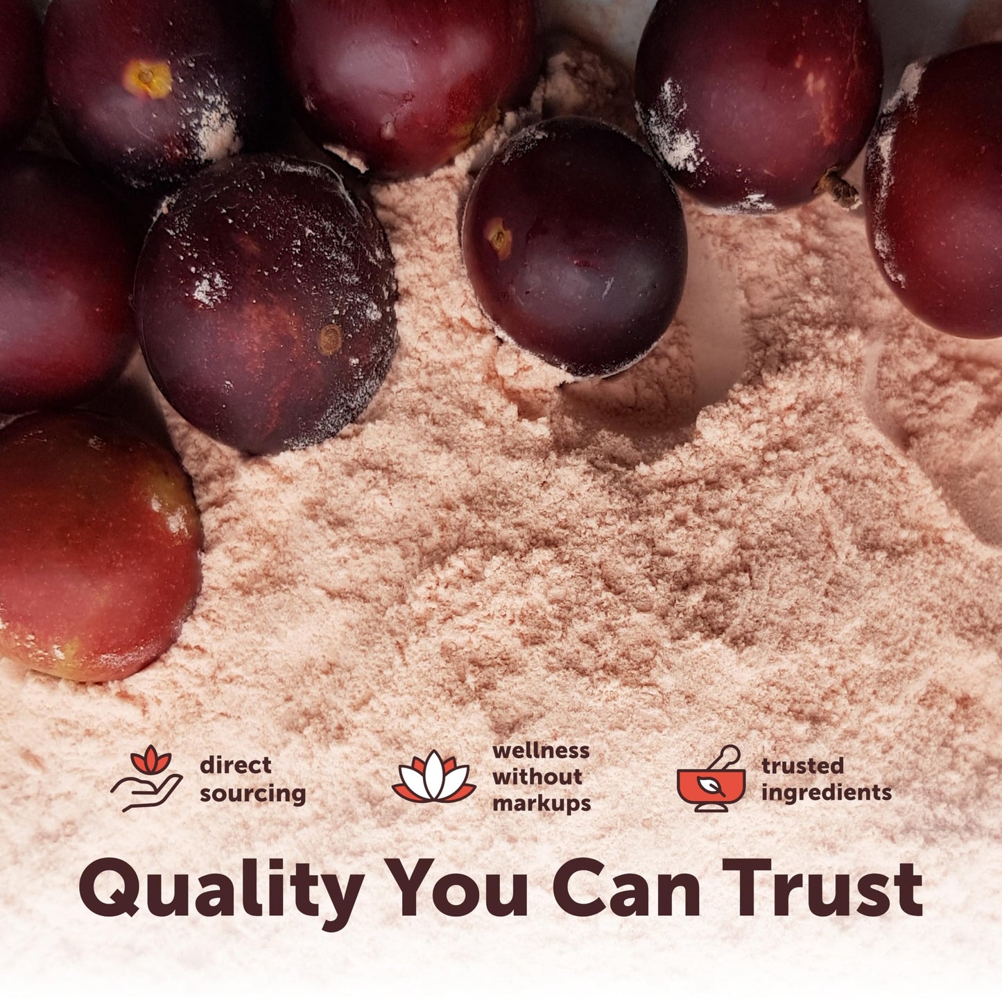 Micro Ingredients Organic Camu Camu Powder, 12 oz | Freshly Harvested Berry | Source of Naturally Occurring Vitamin C | Non-GMO, Vegan Friendly
