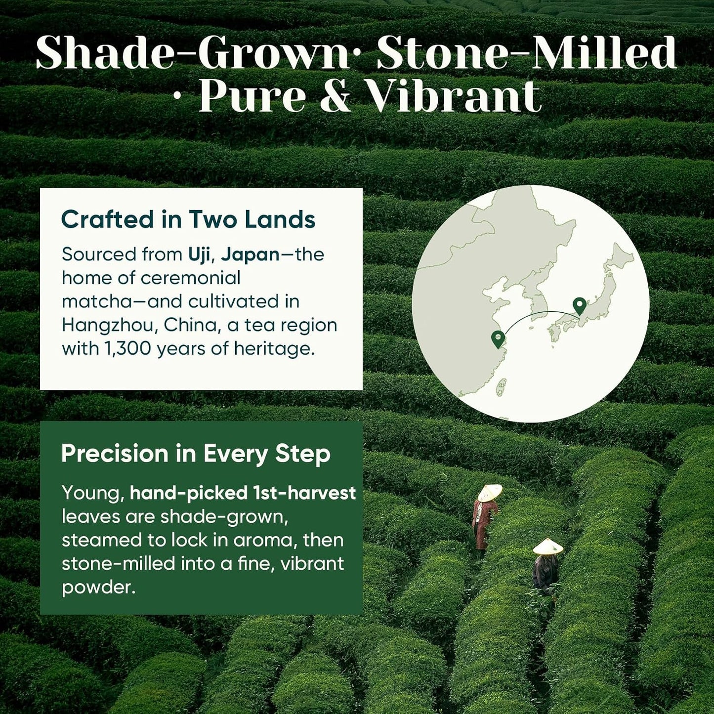 Ceremonial Grade Matcha Green Tea Powder, First Harvest, Shade Grown, 30g | 100% Pure Matcha Powder Ceremonial Grade, w/ No Additives, Unsweetened, Vegan, Gluten-Free, Smooth Flavor for Tea and Lattes