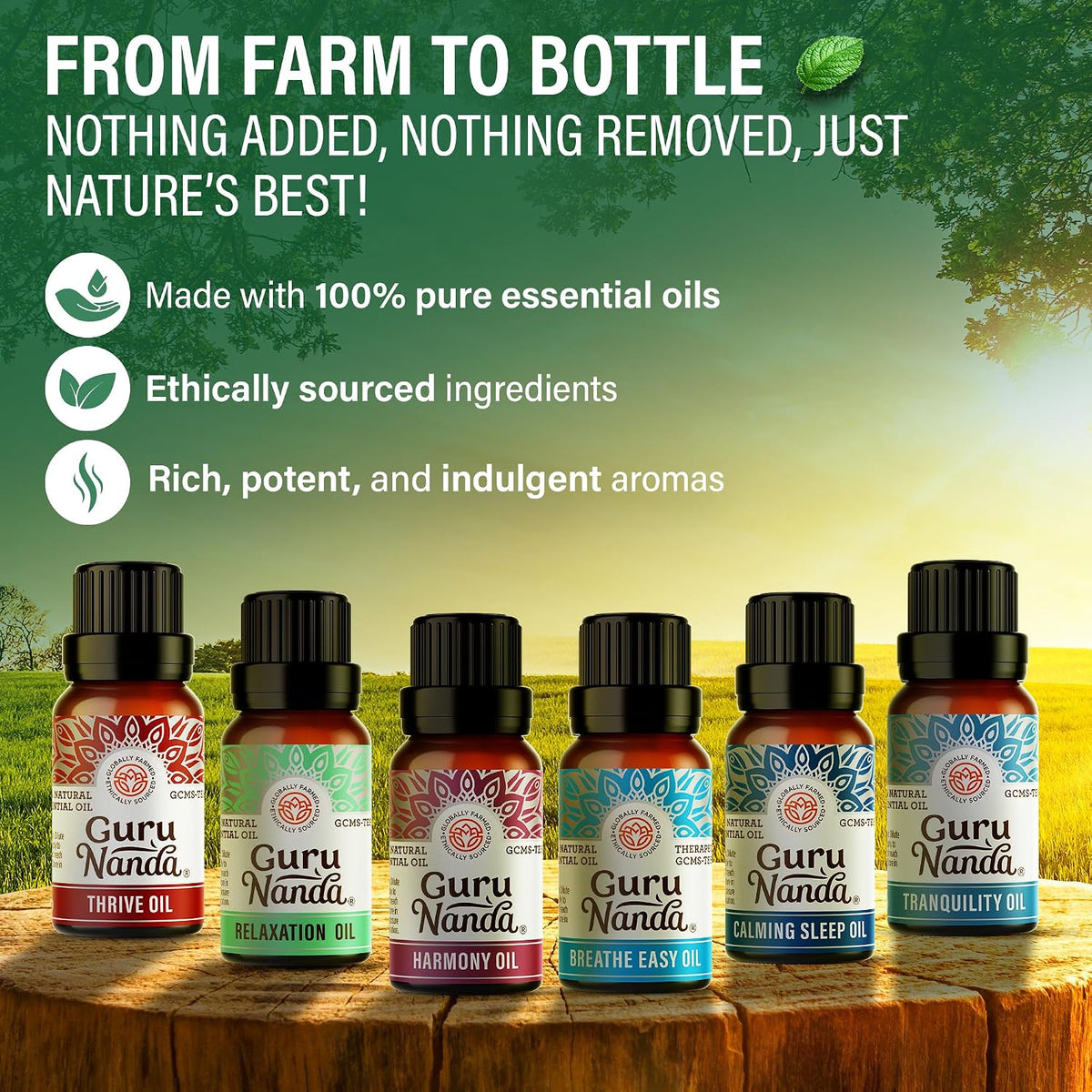 GuruNanda Essential Oil Blends – 6 Pack (10mL Each), Breathe Easy, Tranquility, Relaxation, Harmony, Calming Sleep & Thrive, Natural Aromatherapy Oils for Diffuser, Wellness & DIY