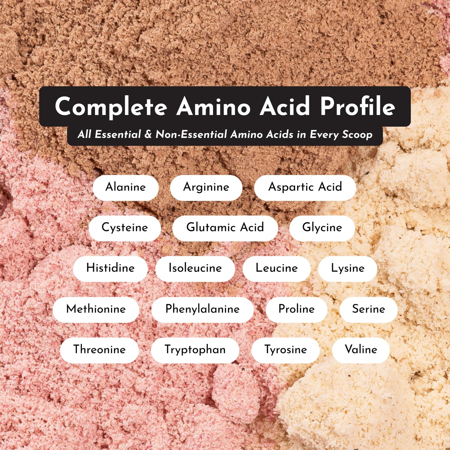 JUST INGREDIENTS Vanilla Bean Protein Powder – 20-Serving Blend with 100% Grass-Fed Whey & Organic Plant Proteins – Real Vanilla Bean & Cinnamon – Supports Muscle Recovery, Energy*