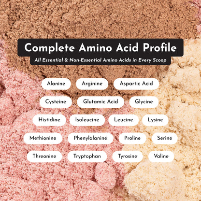 JUST INGREDIENTS Vanilla Bean Protein Powder – 20-Serving Blend with 100% Grass-Fed Whey & Organic Plant Proteins – Real Vanilla Bean & Cinnamon – Supports Muscle Recovery, Energy*