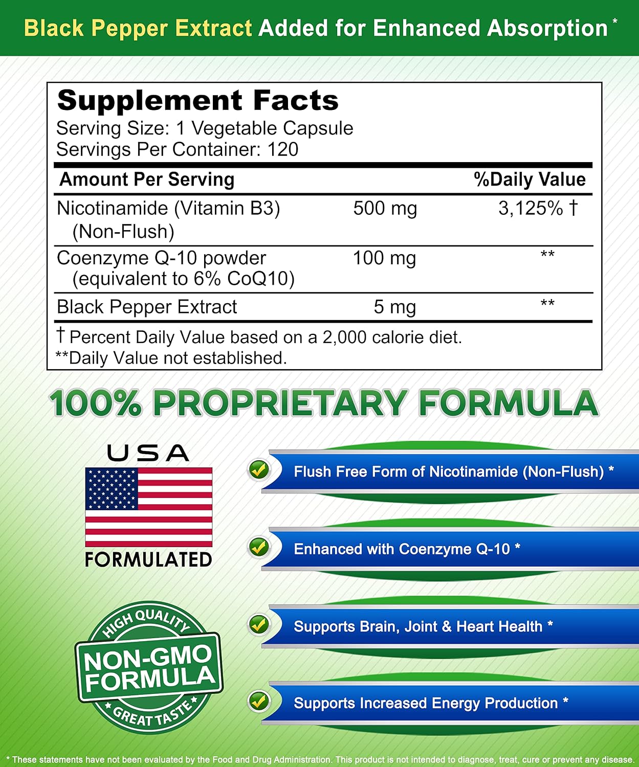 Nicotinamide with CoQ10 (120 Capsules) - Vitamin B3 500mg (Niacinamide Flush Free) - Coenzyme Q10 Powder - VIT B-3 & Coq 10 Supplement Pills to Support Energy, NAD, & Skin Cell Health