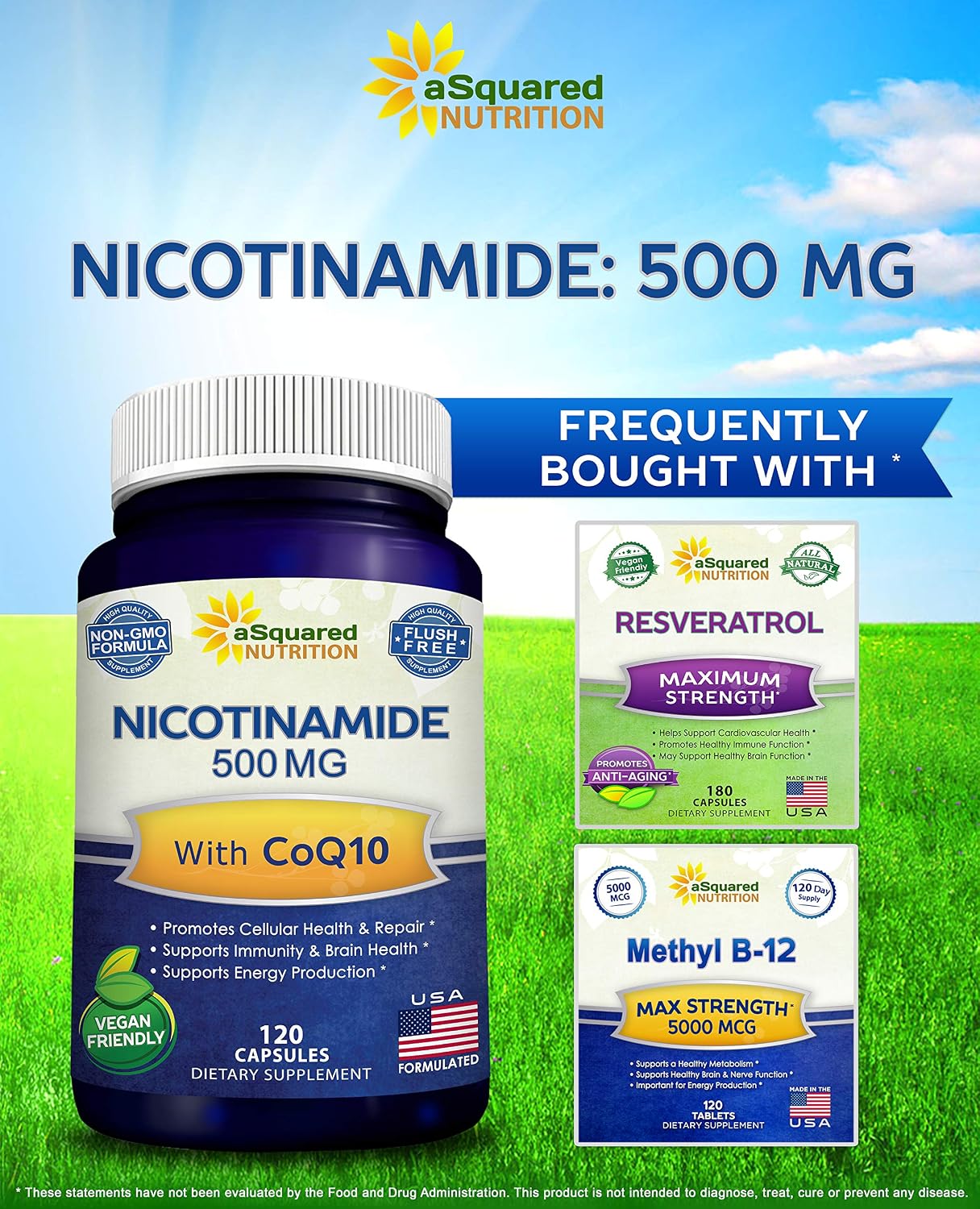 Nicotinamide with CoQ10 (120 Capsules) - Vitamin B3 500mg (Niacinamide Flush Free) - Coenzyme Q10 Powder - VIT B-3 & Coq 10 Supplement Pills to Support Energy, NAD, & Skin Cell Health