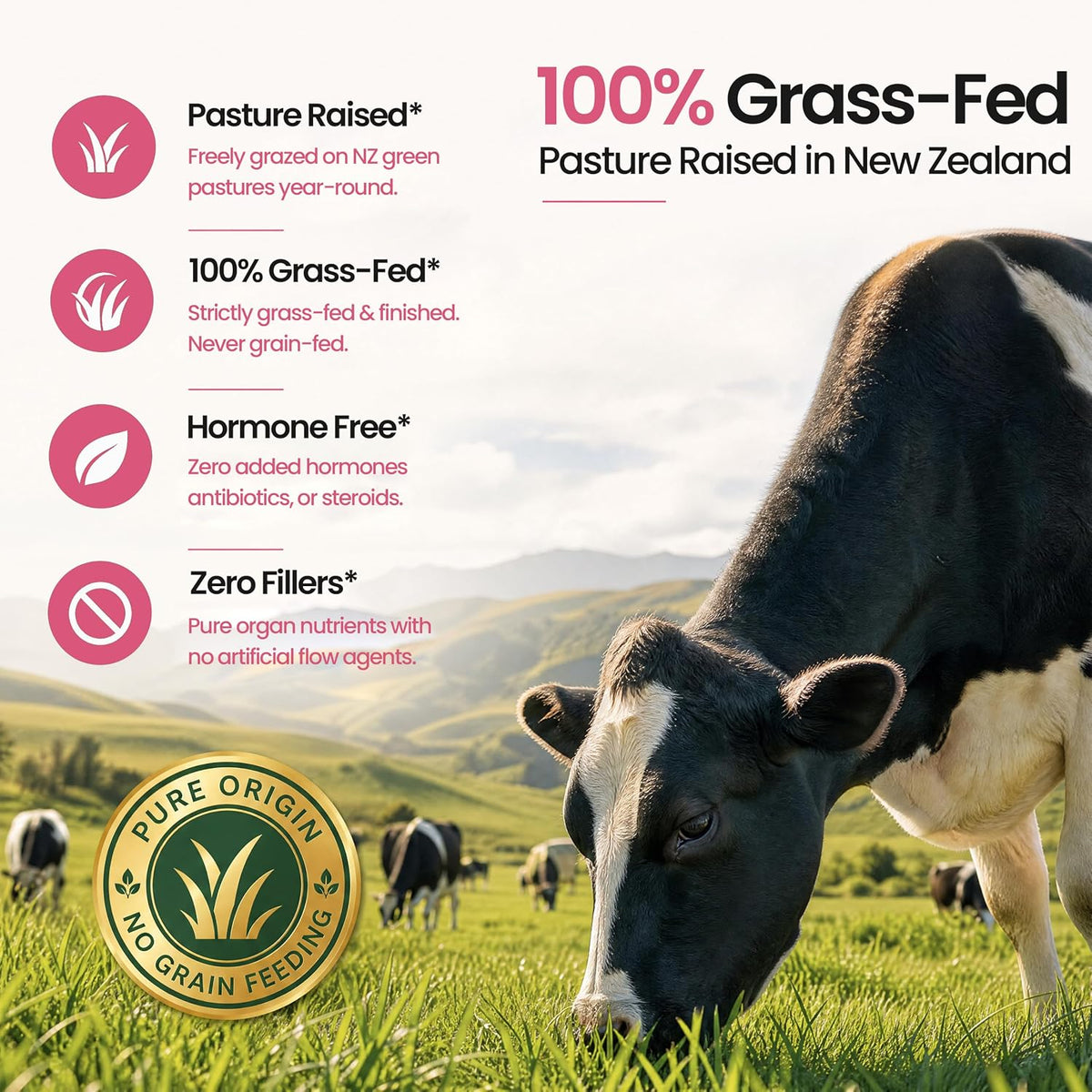 Grass Fed Beef Organ Supplement for Women – New Zealand Bovine Liver Support Supplement, Heart & Kidney – High Potency B12, B6 & Folate Energy Supplements, Fluid Balance & Bloating Relief,120ct