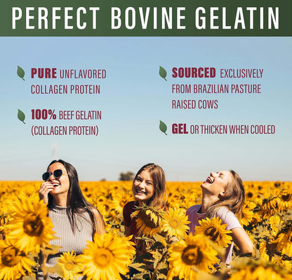 Perfect Bovine Gelatin 100% Grass Fed Beef Gelatin Powder (Cooked Collagen), Brazilian Pasture Raised ~ Large 23.3oz. 60 Serving Container ~ No Fillers, GMOs or Pesticides