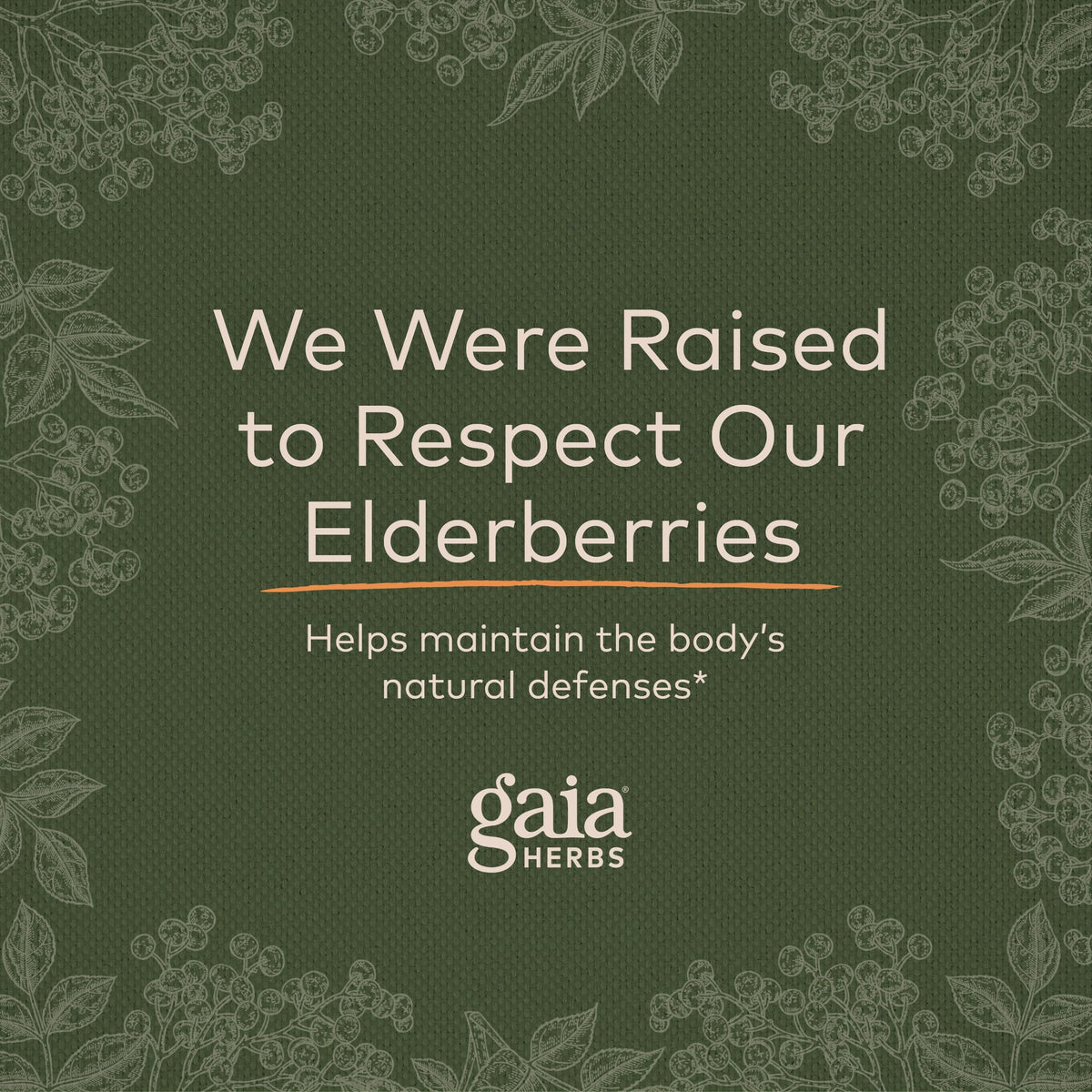 Gaia Herbs Black Elderberry (Sambucus Nigra) Extra Strength Gummies