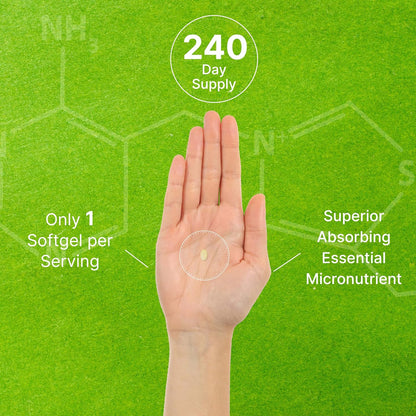 DEAL SUPPLEMENT Vitamin K2 MK-7 200mcg Per Serving, 240 Coconut Oil Softgels | Easily Absorbed Menaquinone-7 Form | Bone, Joint, & Immune Support – Non-GMO