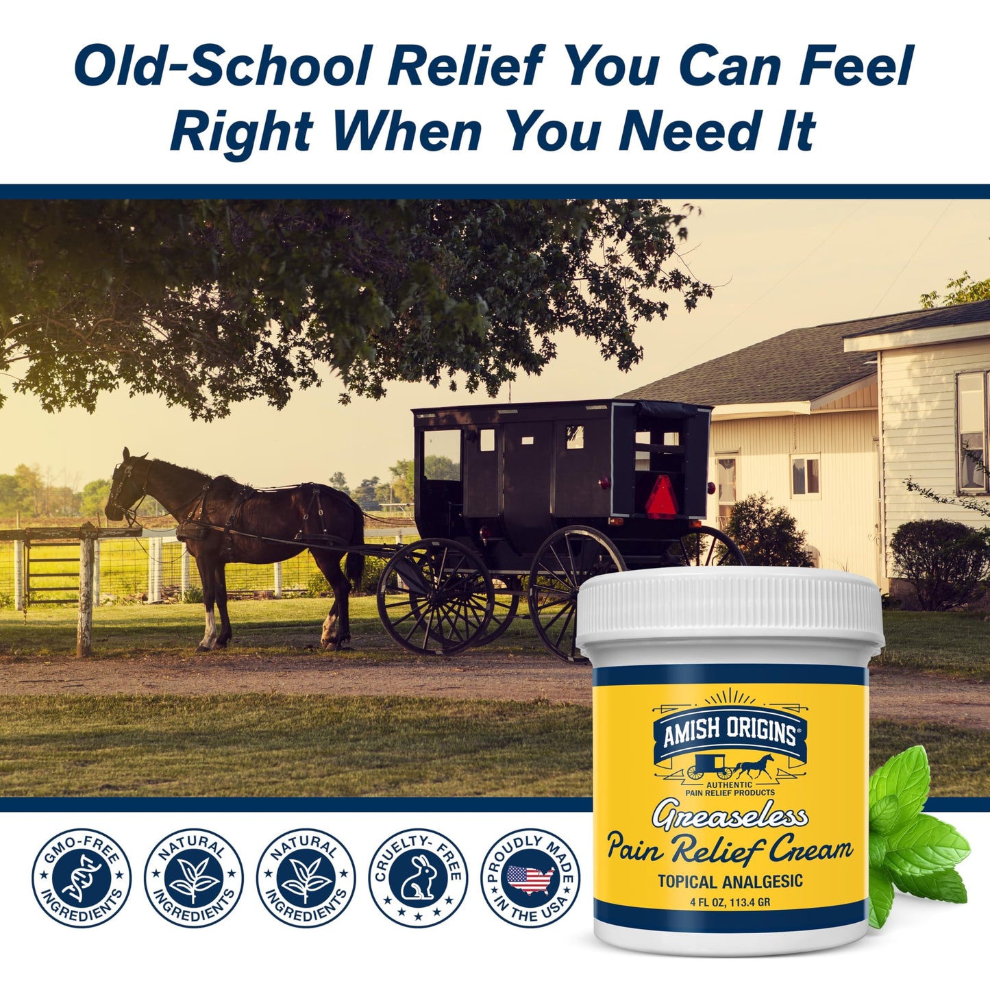 Amish Origins Pain Relief Cream, Maximum Strength Deep Penetrating for Joint, Muscle, Knee, Back, Feet, Hand, Ankle, Aches, 8 fl oz (Pack of 1)
