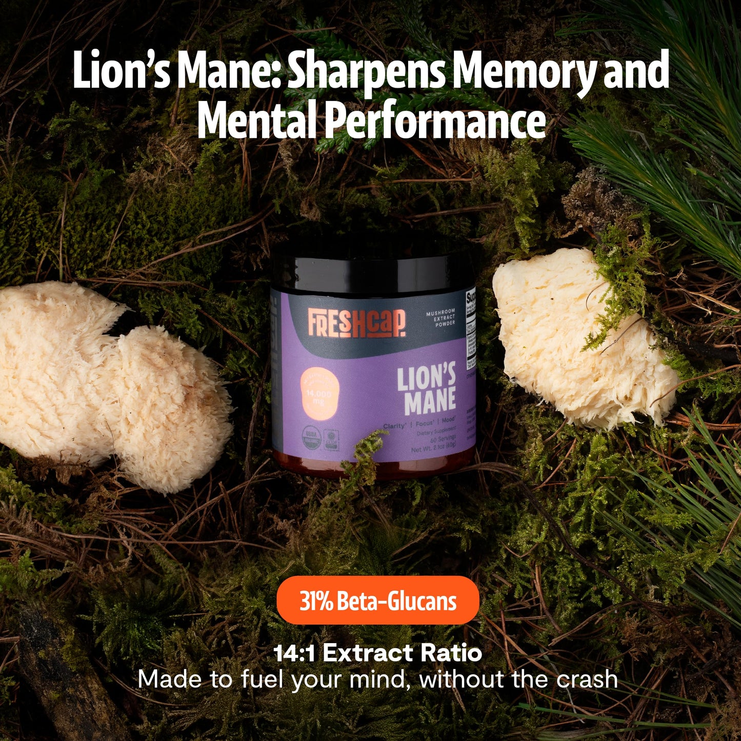 FreshCap Mushrooms Premium Organic Lions Mane Capsules - 14:1 Fruiting Body Extract with 31% Beta-Glucans - 3rd-Party Tested Nootropic for Clarity, Focus & Cognitive Support (120 Capsules)