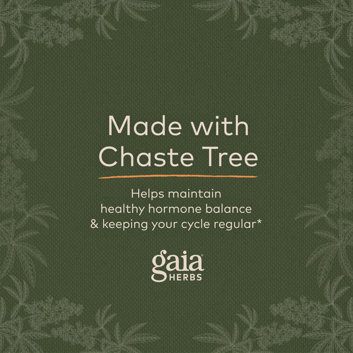 Gaia Herbs Vitex Berry (Chaste Tree) - Supports Hormone Balance & Fertility