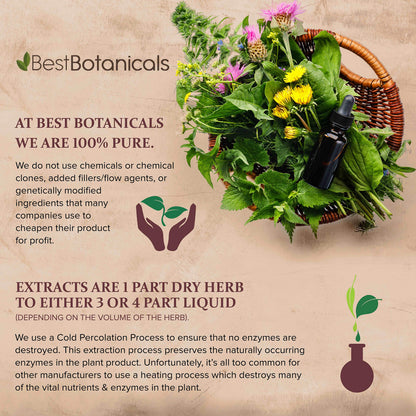 Best Botanicals Black Cohosh Root Extract 1 oz.