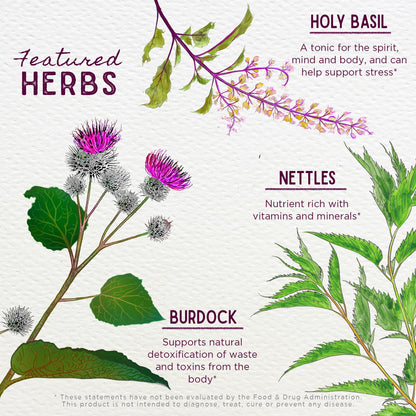 WishGarden Herbs Cycle Changes Herbal Menopause Support - Plant-Based Supplement w/Black Cohosh