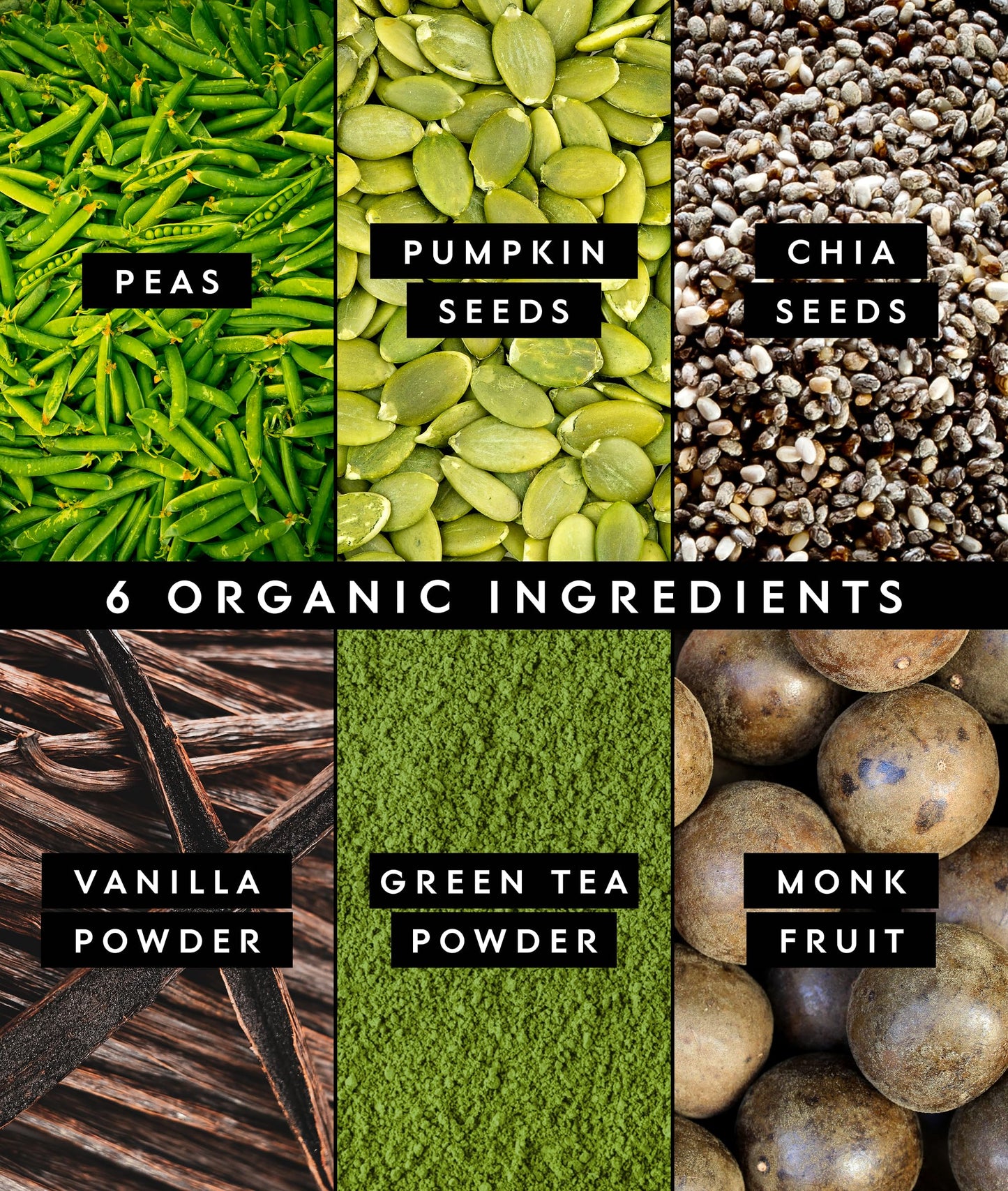 Truvani Organic Plant Based Protein Powder | Vanilla Chai | 10 Servings | Vegan | 20g Pea Protein | Keto | Gluten & Dairy Free | Low Carb | No Added Sugar