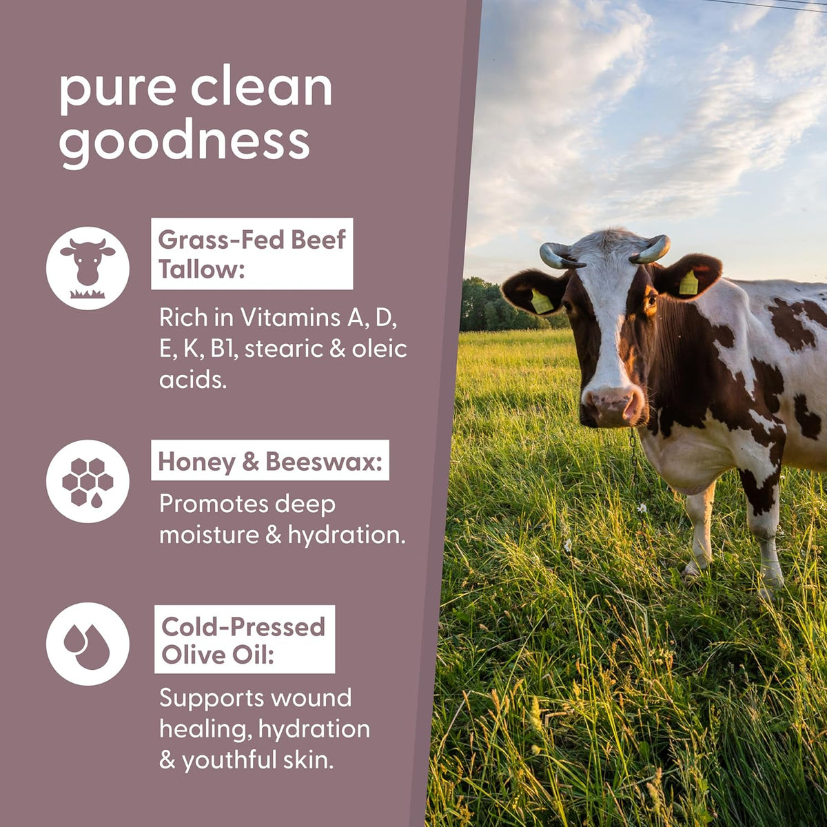 M3 Naturals Grass Fed Beef Tallow and Honey Balm for Face (Unscented, 2oz)
