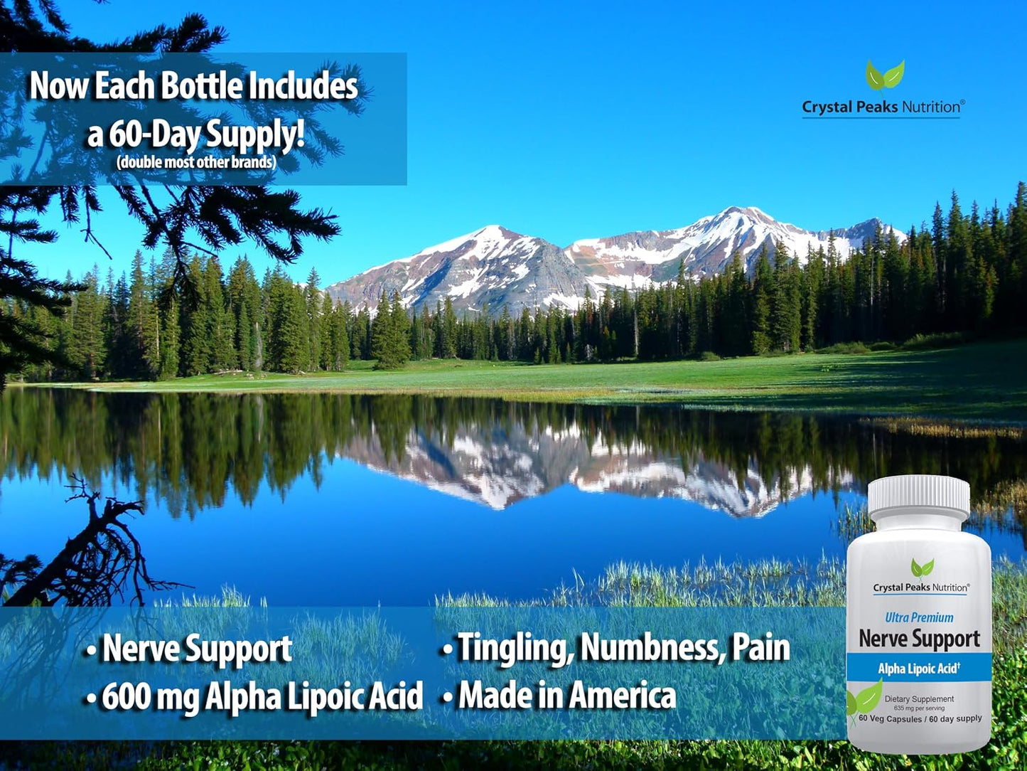 Nerve Support Supplement - Natural Vitamins with 600mg non-GMO ALA Alpha Lipoic Acid – Premium Nerve Support Supplement - Hands & Feet - Tingling, Numbness - NEW! 60-Day Supply