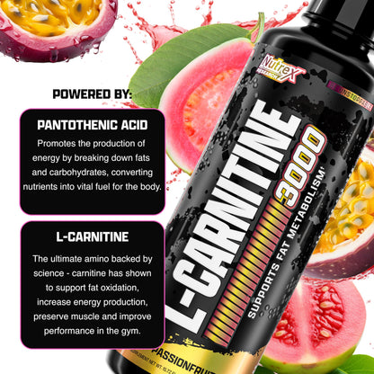 Nutrex Research L Carnitine 3000 - Clinically Dosed L-Carnitine Liquid for Energy, Metabolism & Muscle Recovery - Delicious Strawberry Watermelon - No Sugar, No Carbs, No Stimulants - 31 Servings