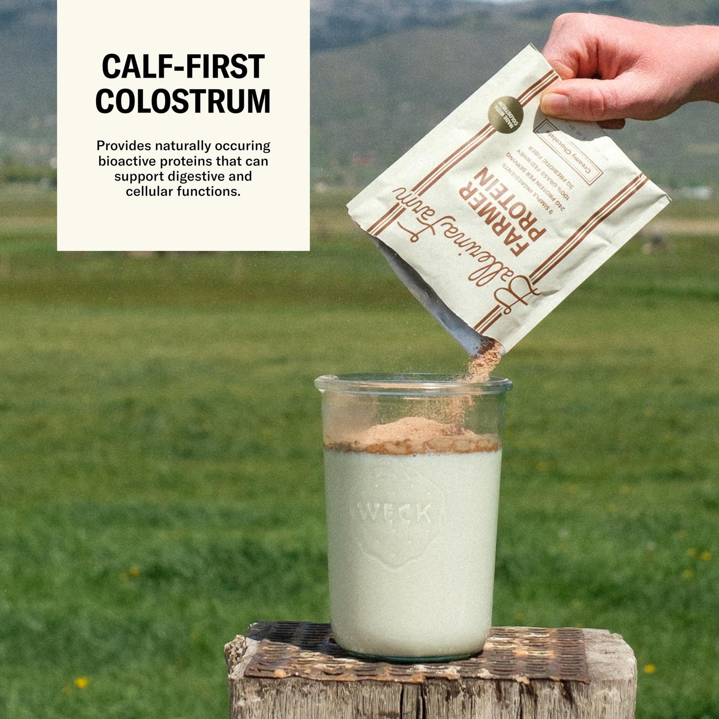 Grass Fed Whey Protein Powder, Vanilla Bean, 24g Protein with Collagen Peptides, Bovine Colostrum, Hemp Hearts & Prebiotic Fiber, No Added Sugar or Artificial Ingredients, 20 Servings