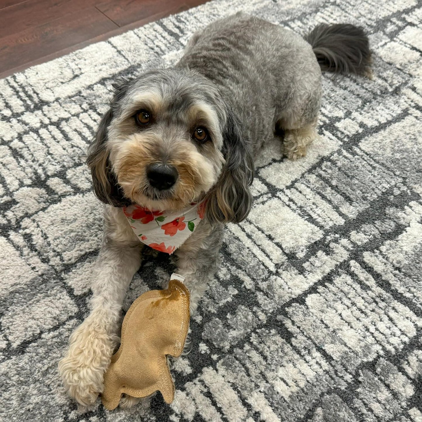 SPOT Dura-Fused Leather Rabbit Dog Toy – Durable Real Leather & Jute Chew Toy with Squeaker, Double-Stitched for Moderate Chewers, Small & Medium Dogs, 7.5in