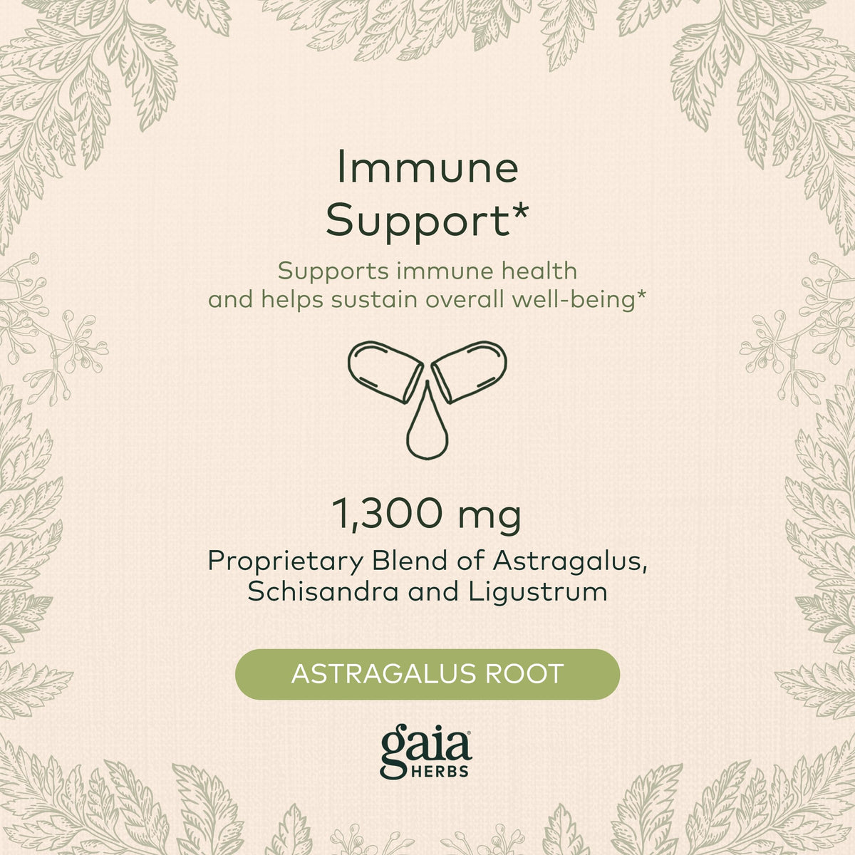 Gaia Herbs Astragalus Supreme - Immune and Antioxidant Support Herbal Supplement