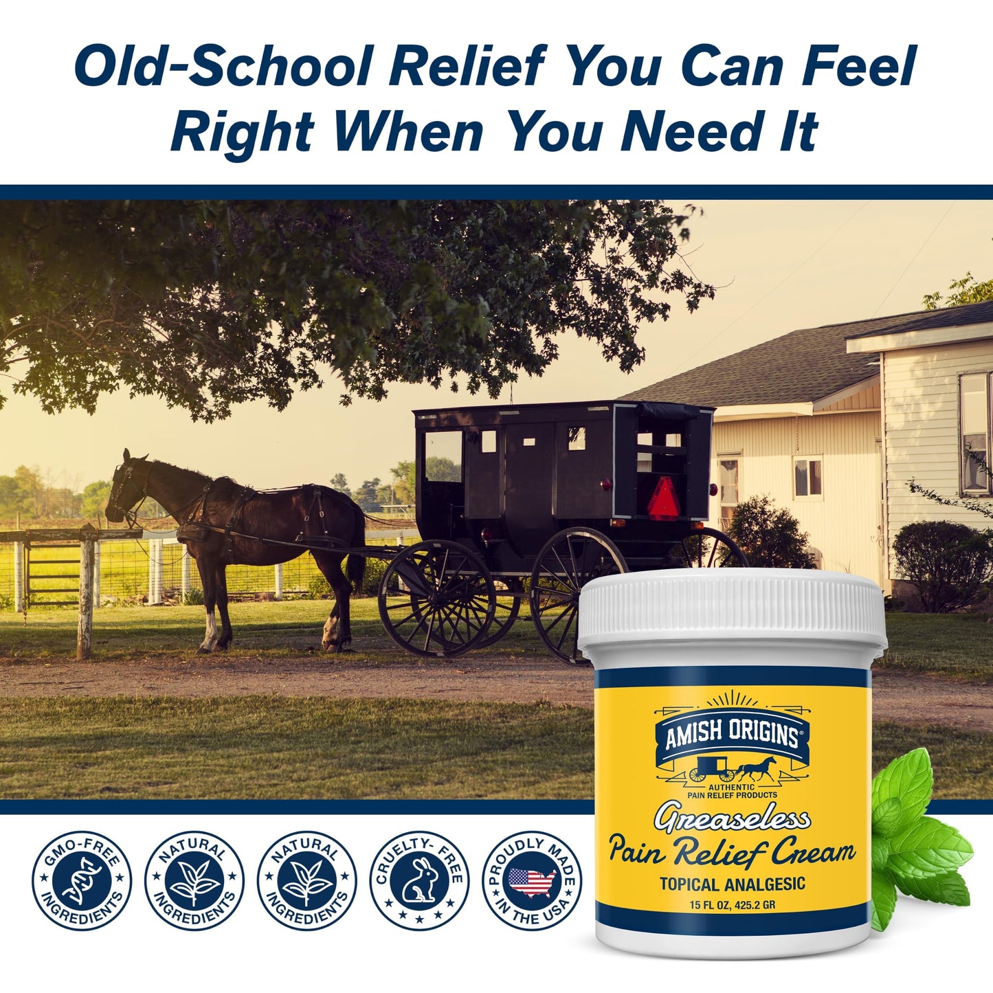 Amish Origins Pain Relief Cream, Maximum Strength Deep Penetrating for Joint, Muscle, Knee, Back, Feet, Hand, Ankle, Aches, 8 fl oz (Pack of 1)
