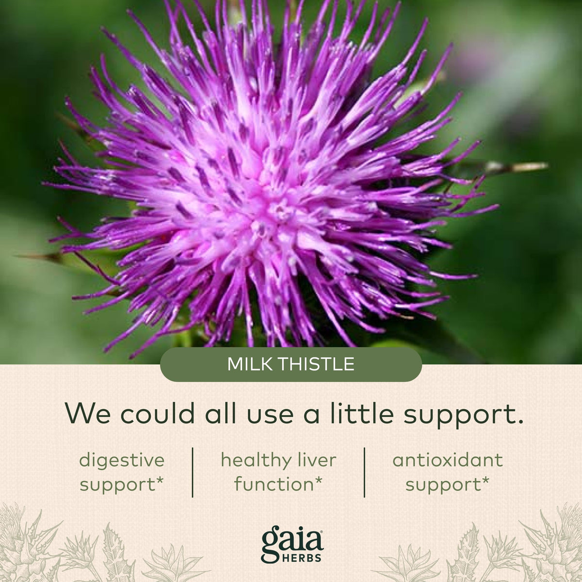 Gaia Herbs Liver Cleanse - Liver Health Support Herbal Supplement with Milk Thistle