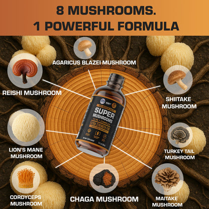 HERBIFY Lions Mane Supplement - Daily Mushroom Supplement for Memory, Focus & Clarity - Brain Booster - Lions Mane Tincture for Immune Support - 4 Fl oz