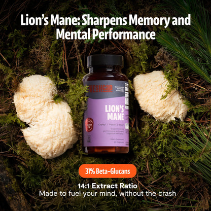 FreshCap Mushrooms Premium Organic Lions Mane Capsules - 14:1 Fruiting Body Extract with 31% Beta-Glucans - 3rd-Party Tested Nootropic for Clarity, Focus & Cognitive Support (120 Capsules)