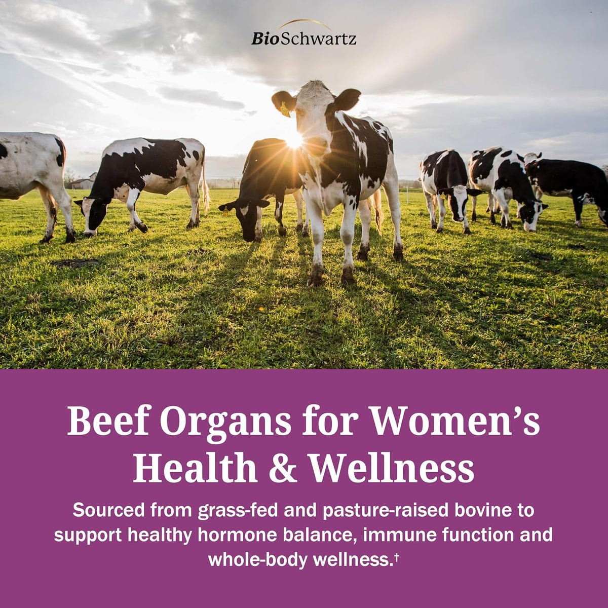 Primal Beef Organ Supplement for Women - Grass-Fed, 60 Capsules