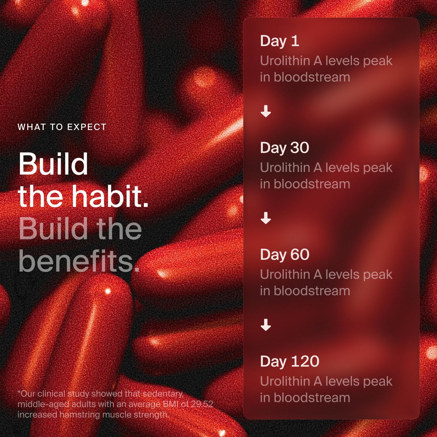 Timeline Mitopure Urolithin A Supplement Softgels - Clinically Proven Support for Healthy Aging and Cellular Renewal - Mitoceutical for Muscle Support and Longevity