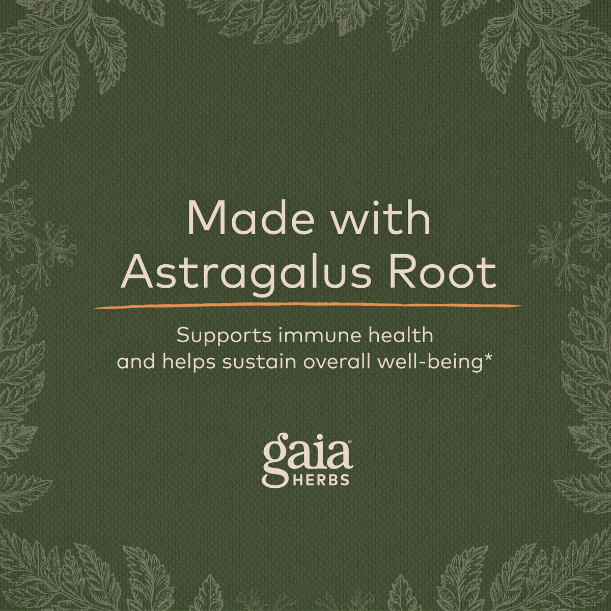 Gaia Herbs Astragalus Supreme - Immune and Antioxidant Support Herbal Supplement