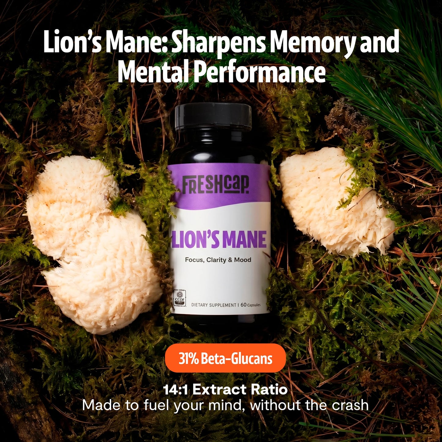FreshCap Mushrooms Premium Organic Lions Mane Capsules - 14:1 Fruiting Body Extract with 31% Beta-Glucans - 3rd-Party Tested Nootropic for Clarity, Focus & Cognitive Support (120 Capsules)