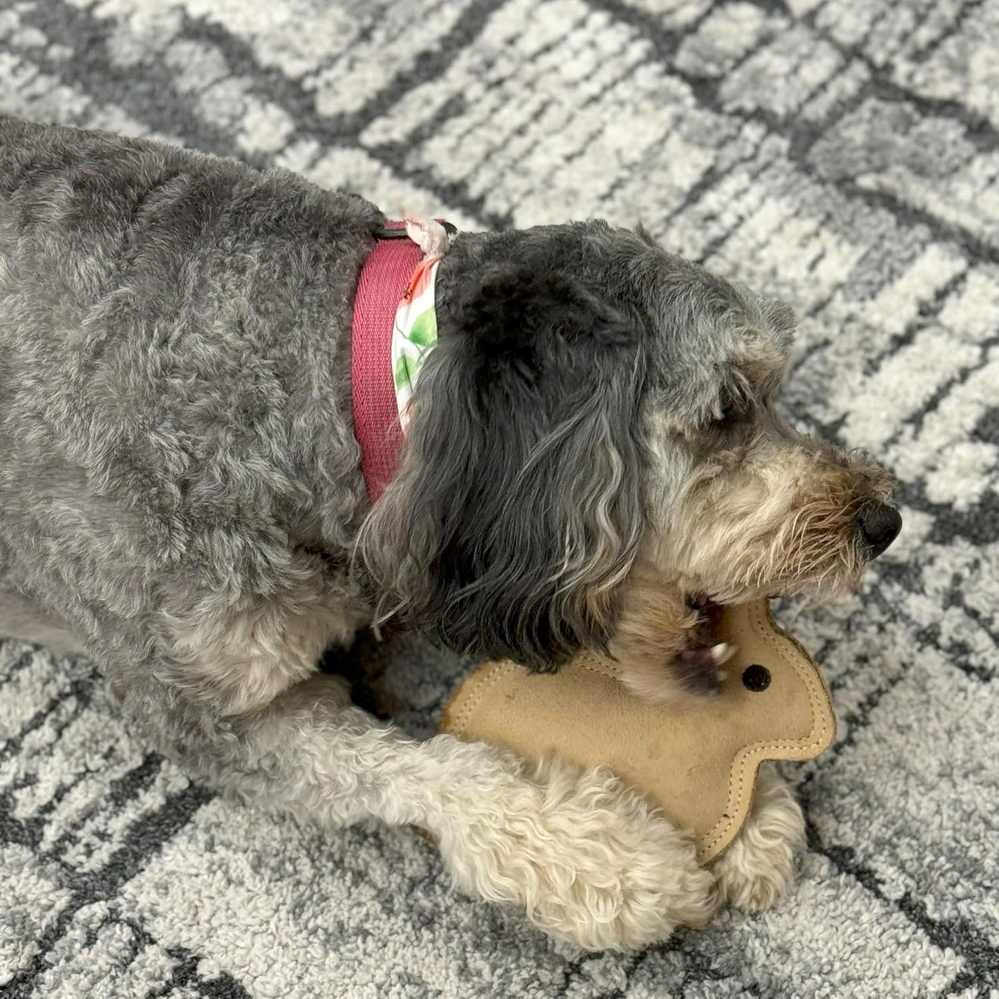 SPOT Dura-Fused Leather Rabbit Dog Toy – Durable Real Leather & Jute Chew Toy with Squeaker, Double-Stitched for Moderate Chewers, Small & Medium Dogs, 7.5in