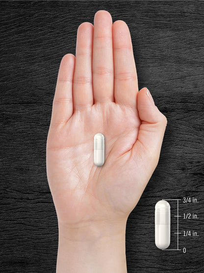 Carlyle Tongkat Ali | 180 Quick Release Capsules | 1,600mg | Non-GMO and Gluten Free