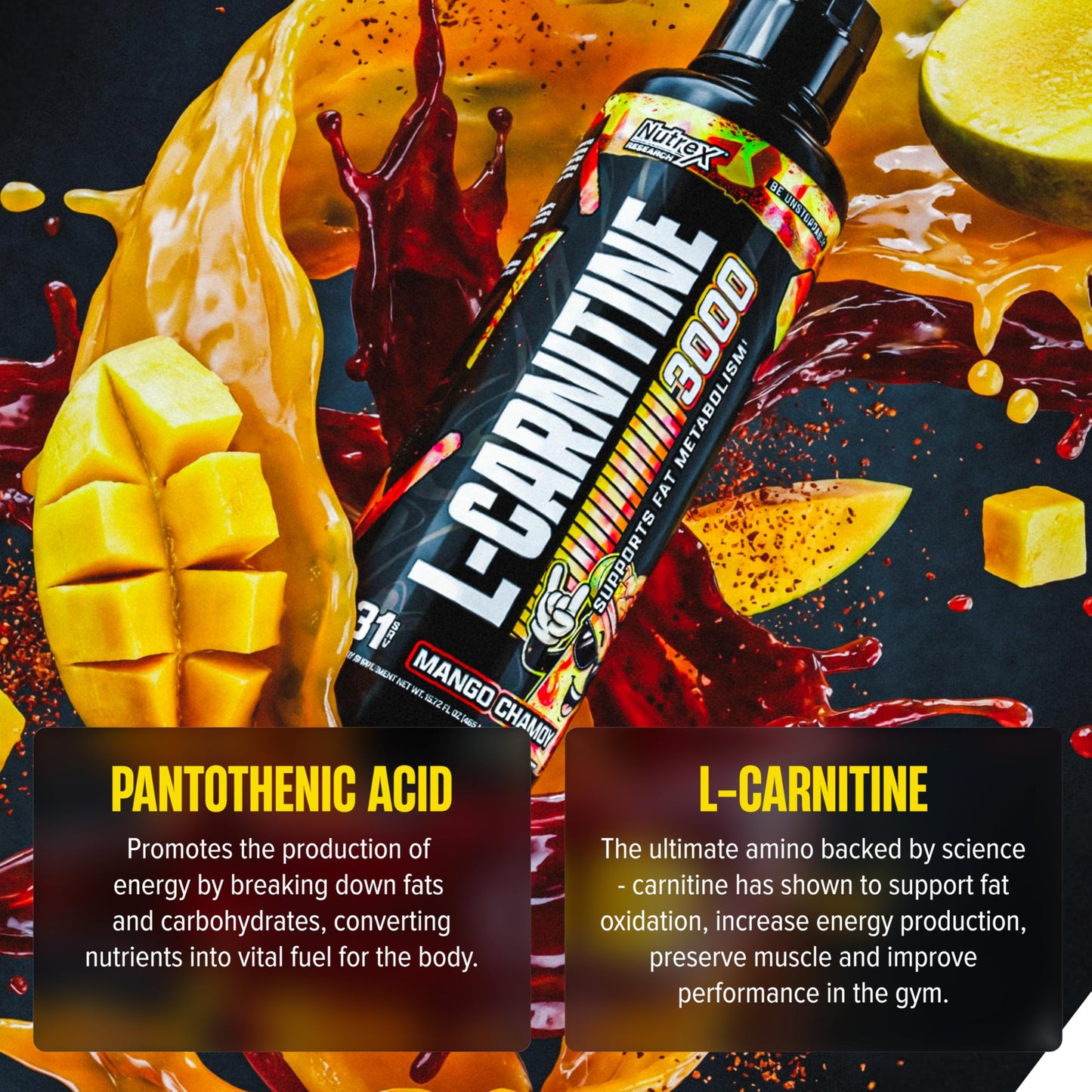 Nutrex Research L Carnitine 3000 - Clinically Dosed L-Carnitine Liquid for Energy, Metabolism & Muscle Recovery - Delicious Strawberry Watermelon - No Sugar, No Carbs, No Stimulants - 31 Servings
