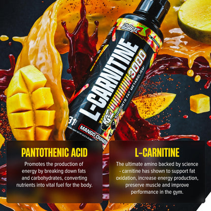 Nutrex Research L Carnitine 3000 - Clinically Dosed L-Carnitine Liquid for Energy, Metabolism & Muscle Recovery - Delicious Strawberry Watermelon - No Sugar, No Carbs, No Stimulants - 31 Servings