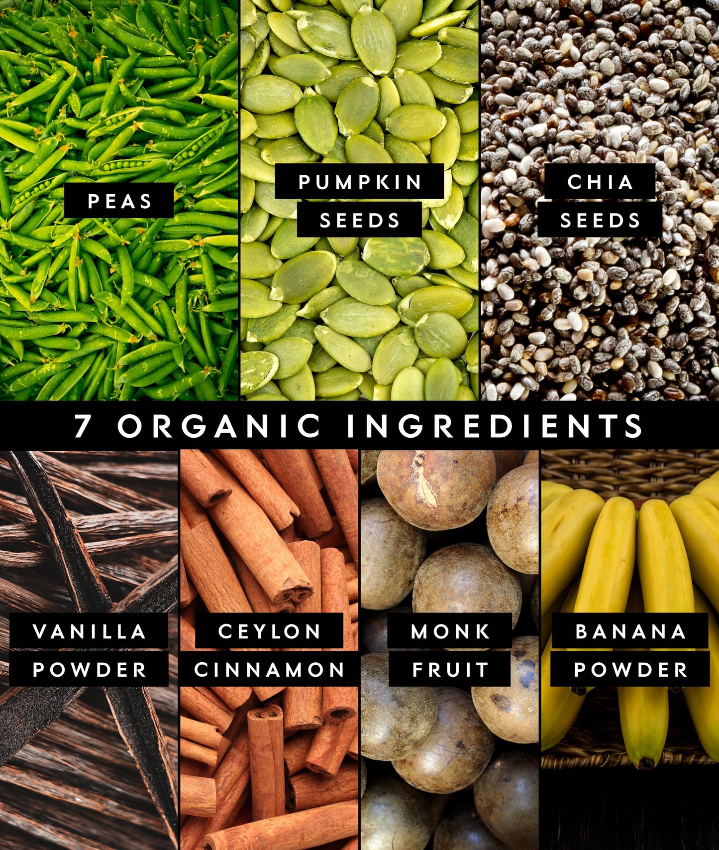 Truvani Organic Plant Based Protein Powder | Vanilla | 18 Servings | Vegan | 20g Pea Protein | Keto | Gluten & Dairy Free | Low Carb | No Added Sugar
