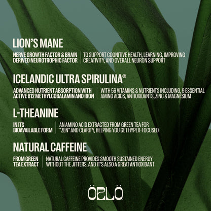 ORLO BRAIN PERFORMANCE BAR – Vegan Protein Bars for Brain & Energy Support – Focus & Memory, Pre & Post Workout Recovery – Gluten Free Snack with L-Theanine, Lions Mane, Spirulina & More (12 Bars)