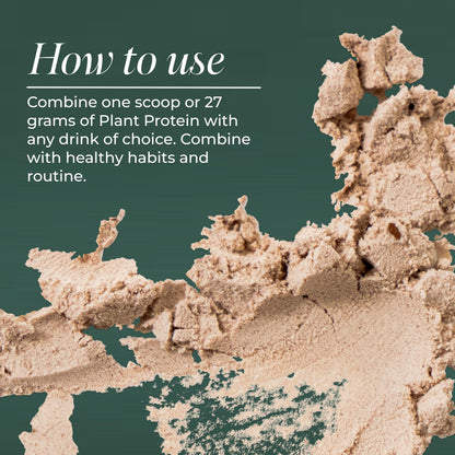 Primal Harvest Protein - Vegan Chocolate Protein Powder, Gluten & Dairy Free