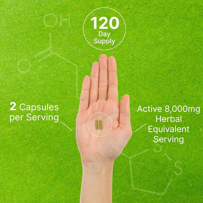 Organic 10-in-1 Mushroom Supplement, 240 Capsules – Lions Mane, Turkey Tail, Reishi, Cordyceps & More Mushroom Complex – Immune, Energy & Nootropic Brain Support – Non-GMO