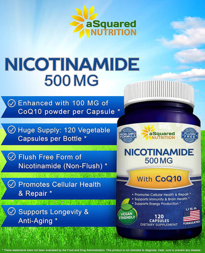 Nicotinamide with CoQ10 (120 Capsules) - Vitamin B3 500mg (Niacinamide Flush Free) - Coenzyme Q10 Powder - VIT B-3 & Coq 10 Supplement Pills to Support Energy, NAD, & Skin Cell Health